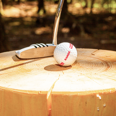 Stillleben - Golfschlger und Golfball auf einem Holzklotz