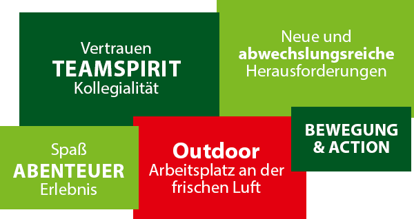 Jobs und Praktika im Hochseilgarten Die Grafik zeigt die 5 Vorteile eines Jobs im Kletterpark: Teamspirit, abwechslungsreich, Abenteuer, Outdoor, Bewegung
